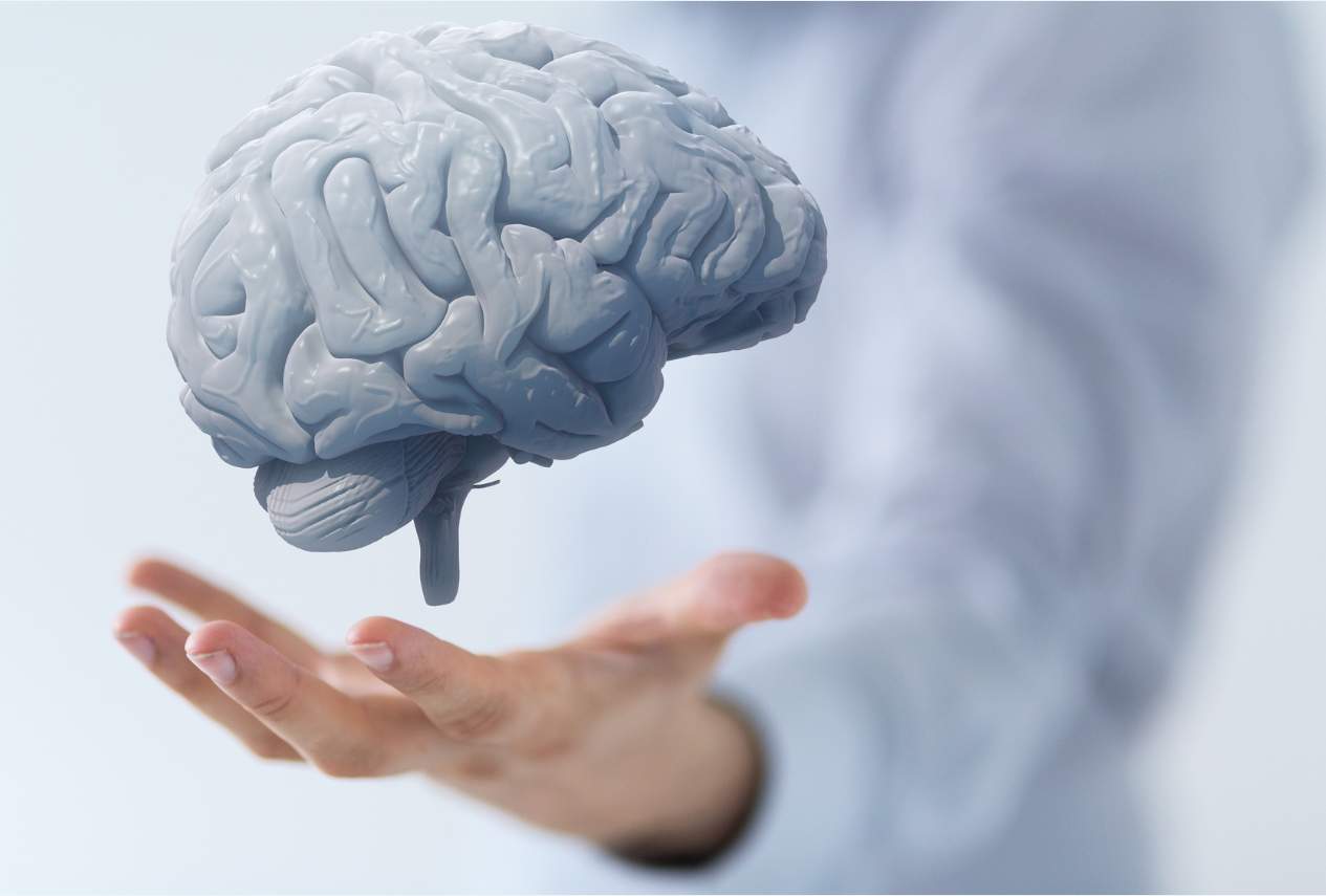 Diferencia entre mente y cerebro