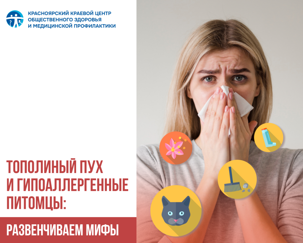 Тополиный пух и гипоаллергенные питомцы: развенчиваем мифы