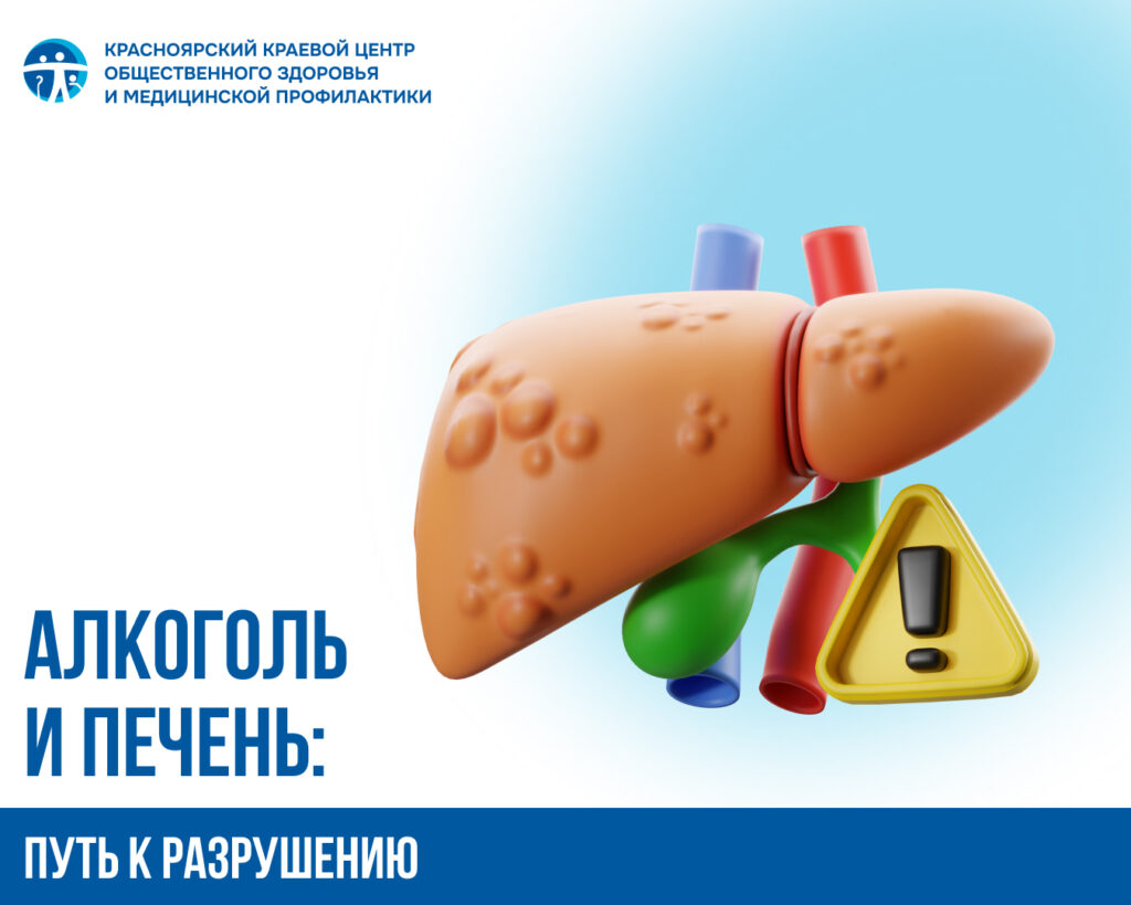 Алкоголь и печень: путь к разрушению
