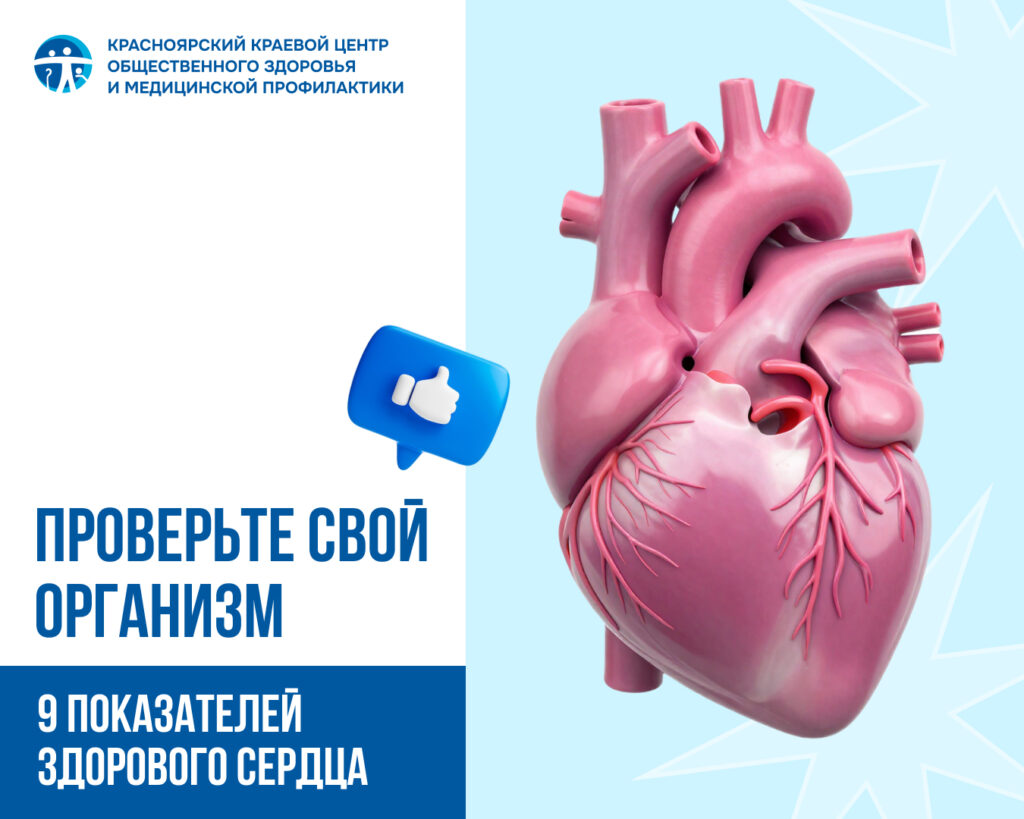 Международный день здорового сердца - показатели нормы