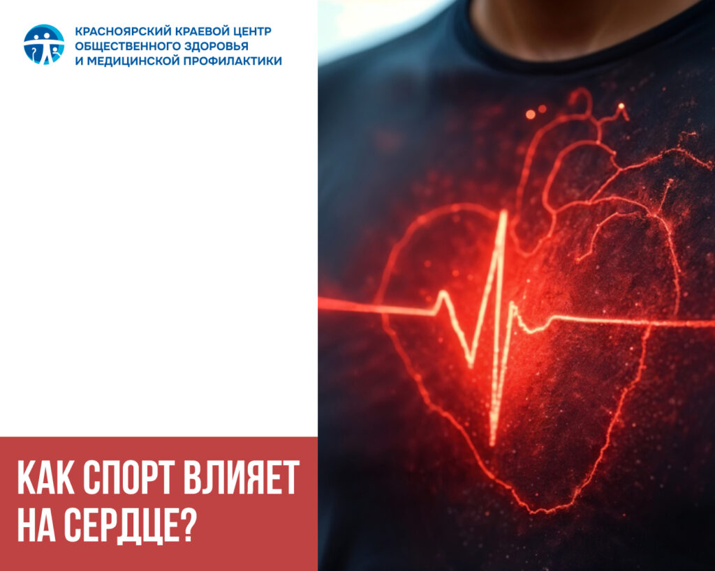 Как спорт влияет на сердце?